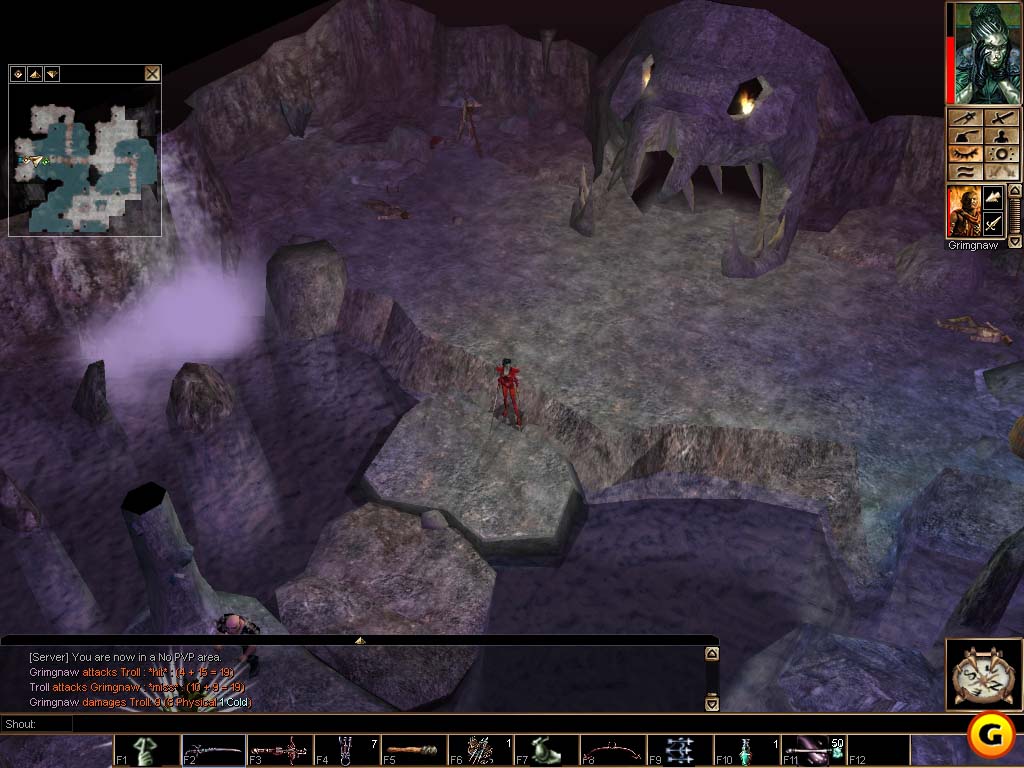 Neverwinter Nights