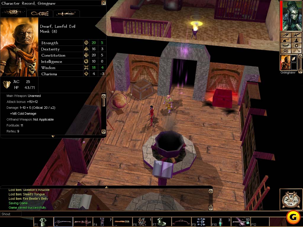 Neverwinter Nights