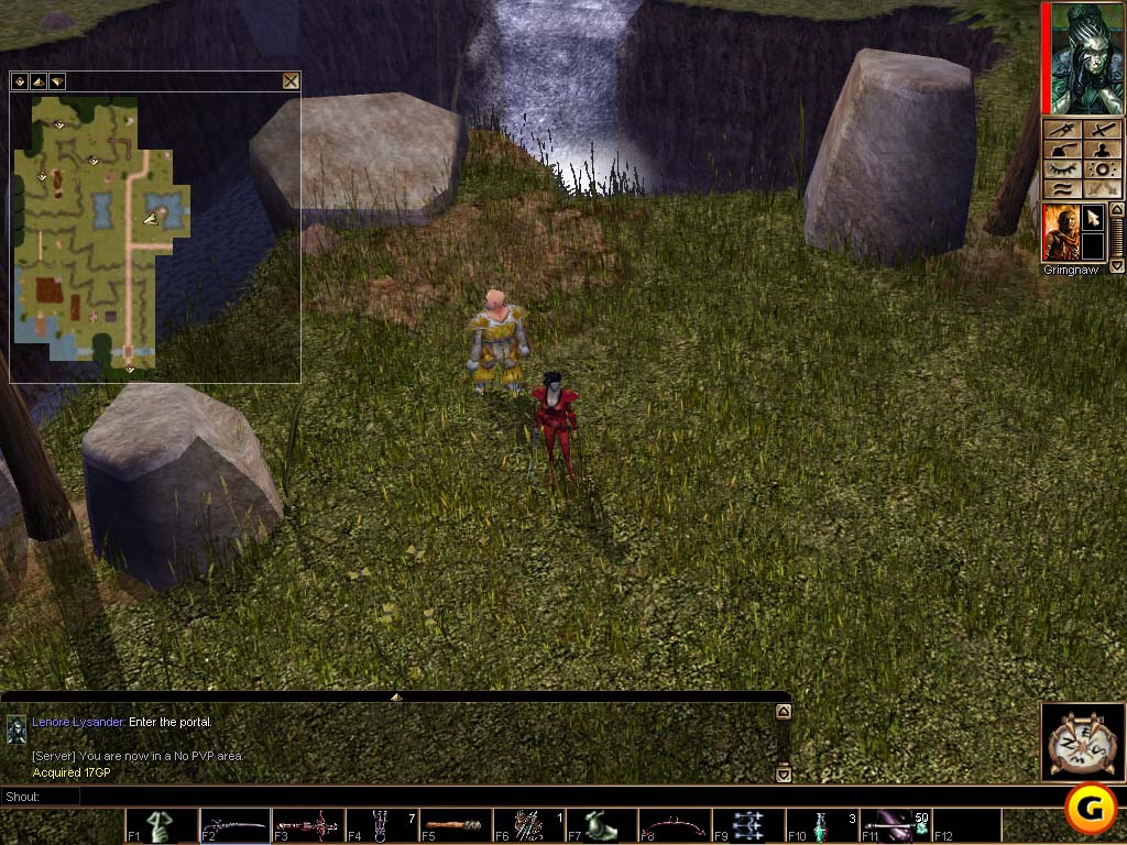 Neverwinter Nights