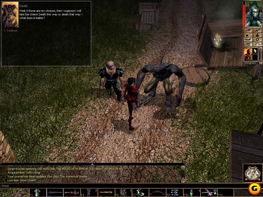Neverwinter Nights