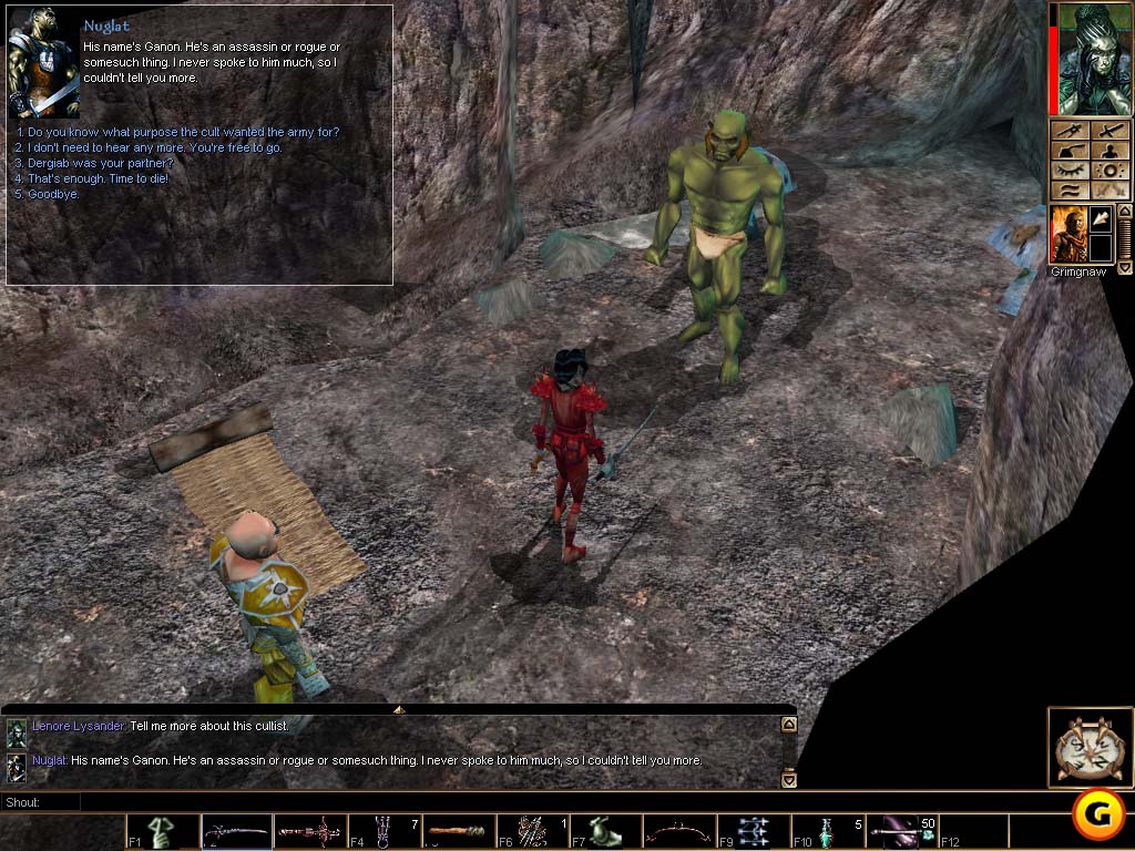Neverwinter Nights