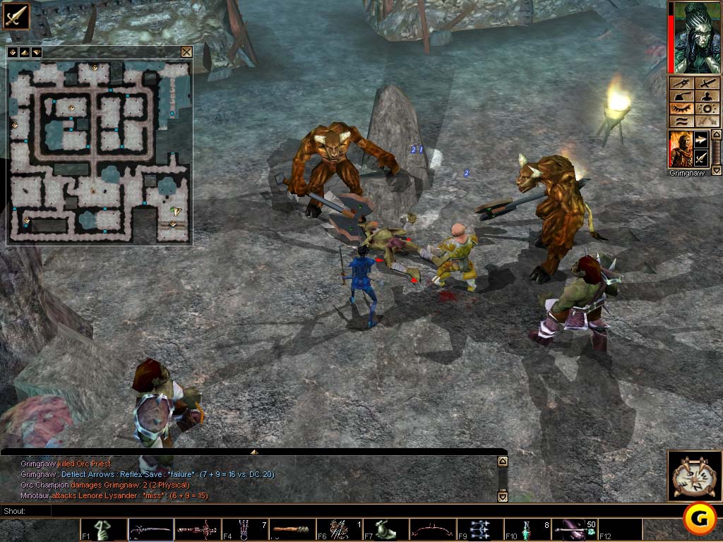Neverwinter Nights