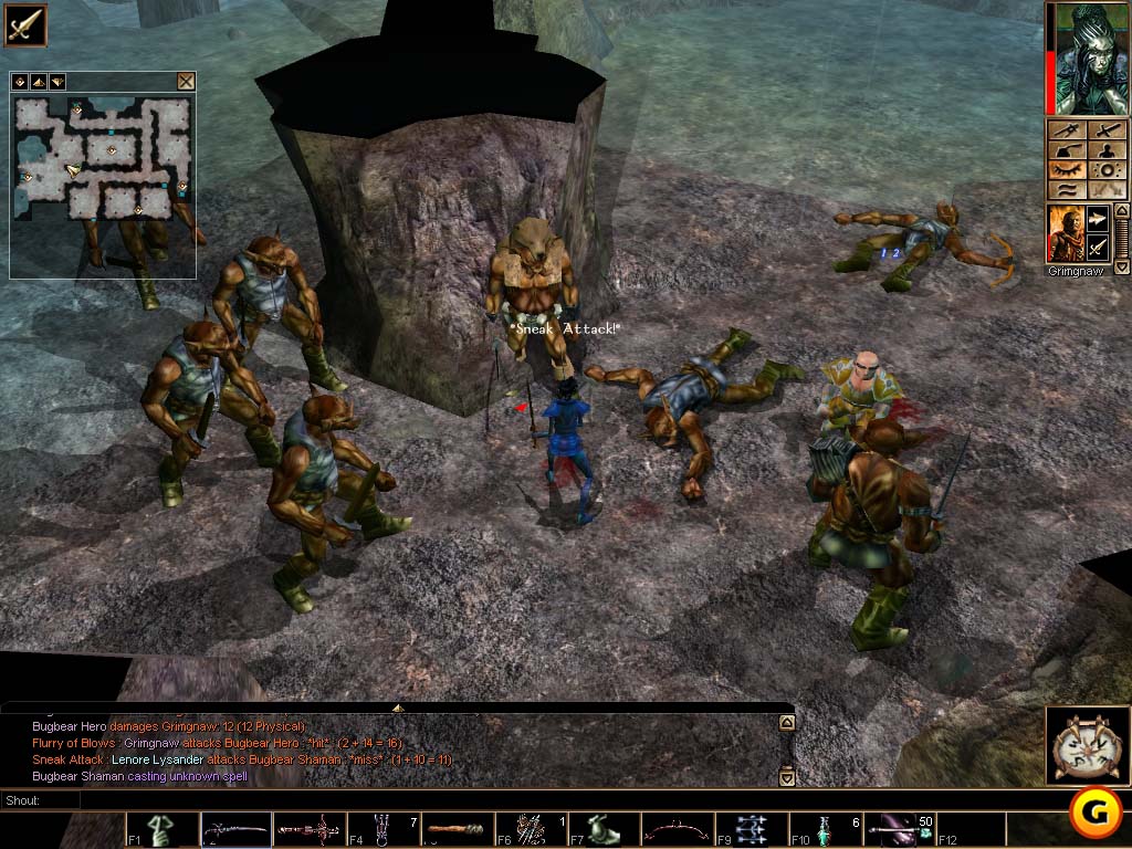 Neverwinter Nights