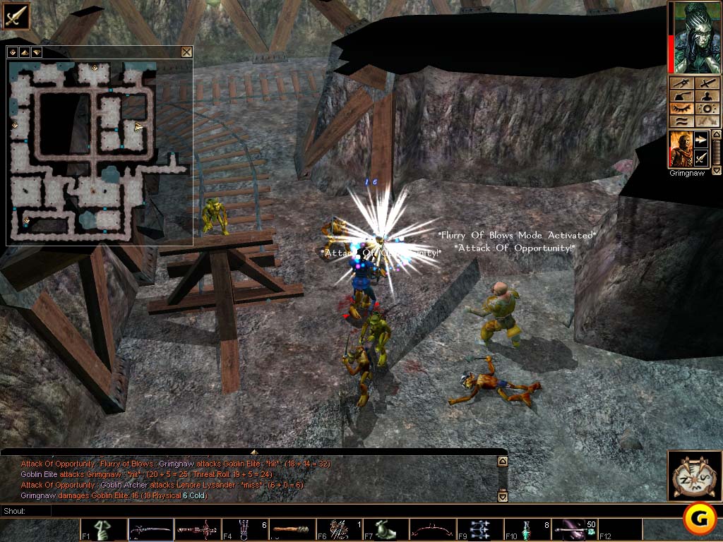 Neverwinter Nights