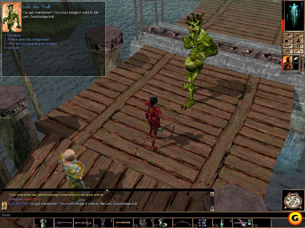 Neverwinter Nights