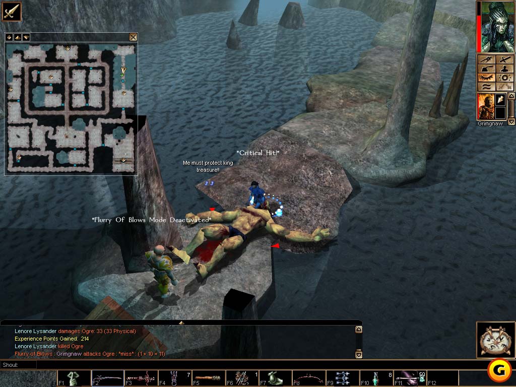 Neverwinter Nights