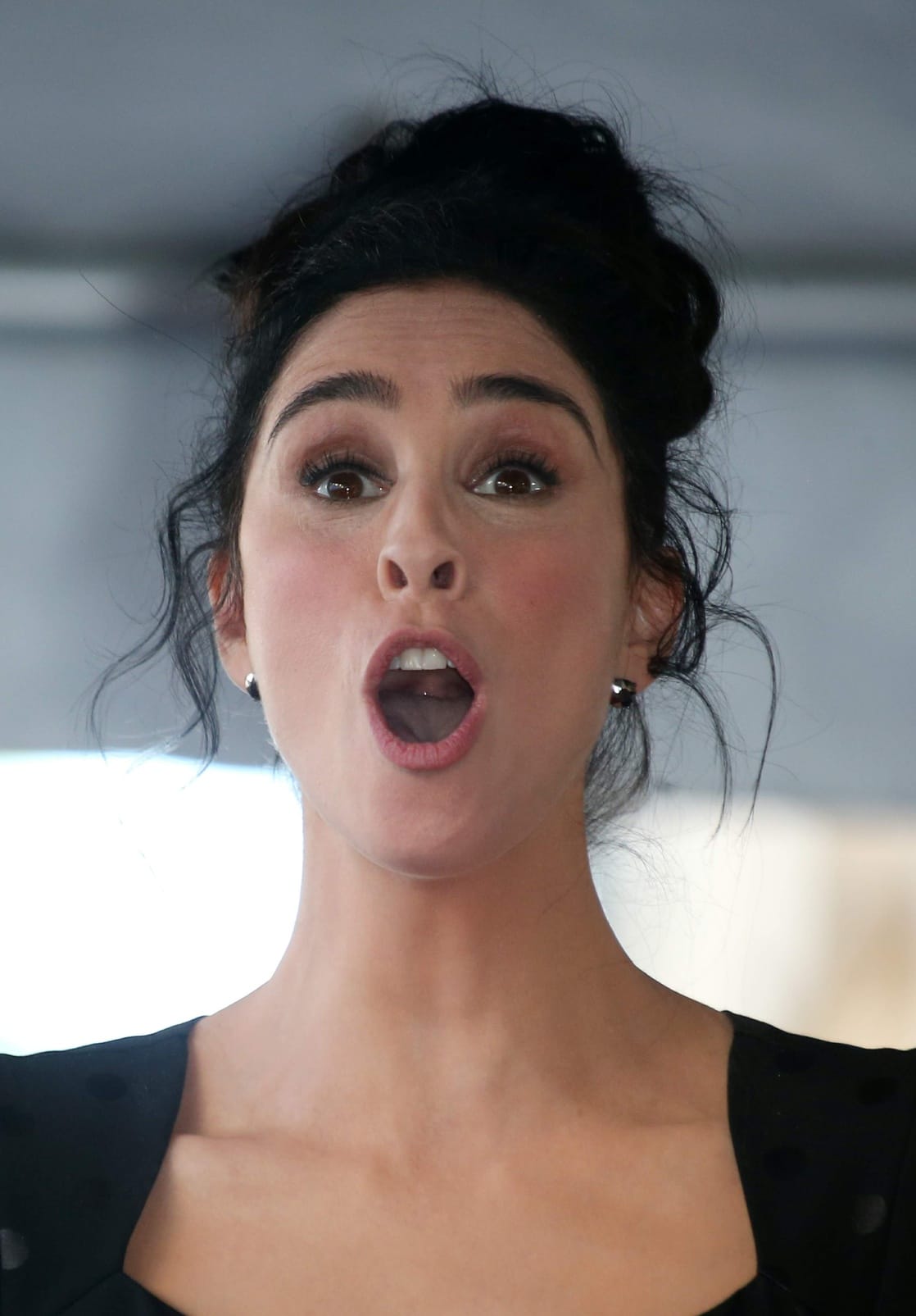 Picture Of Sarah Silverman