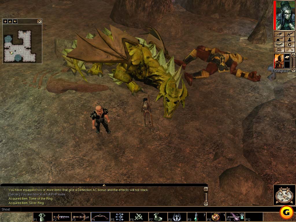 Neverwinter Nights