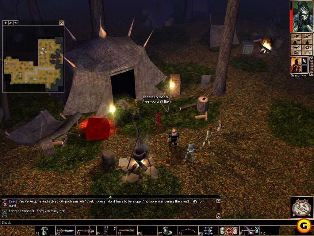 Neverwinter Nights