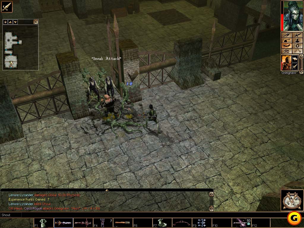 Neverwinter Nights