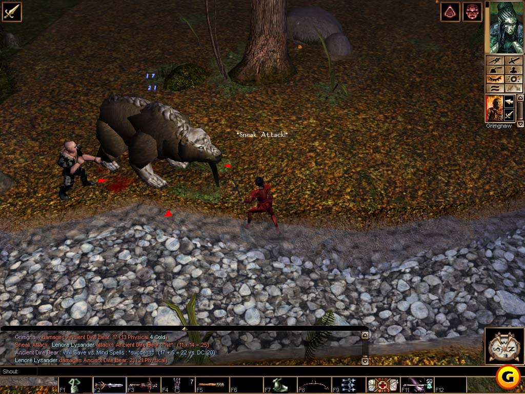 Neverwinter Nights