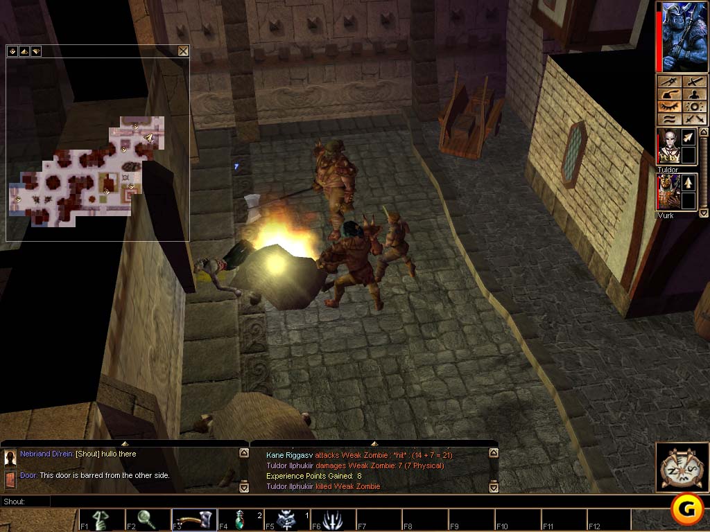 Neverwinter Nights