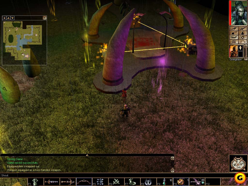 Neverwinter Nights