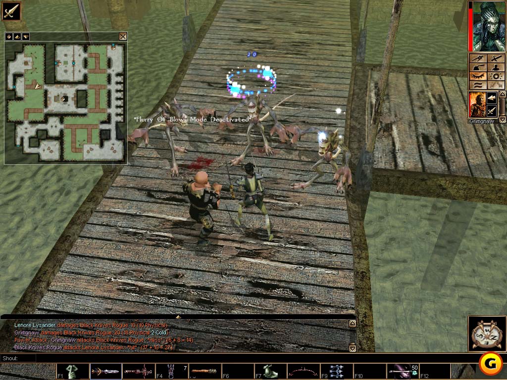 Neverwinter Nights
