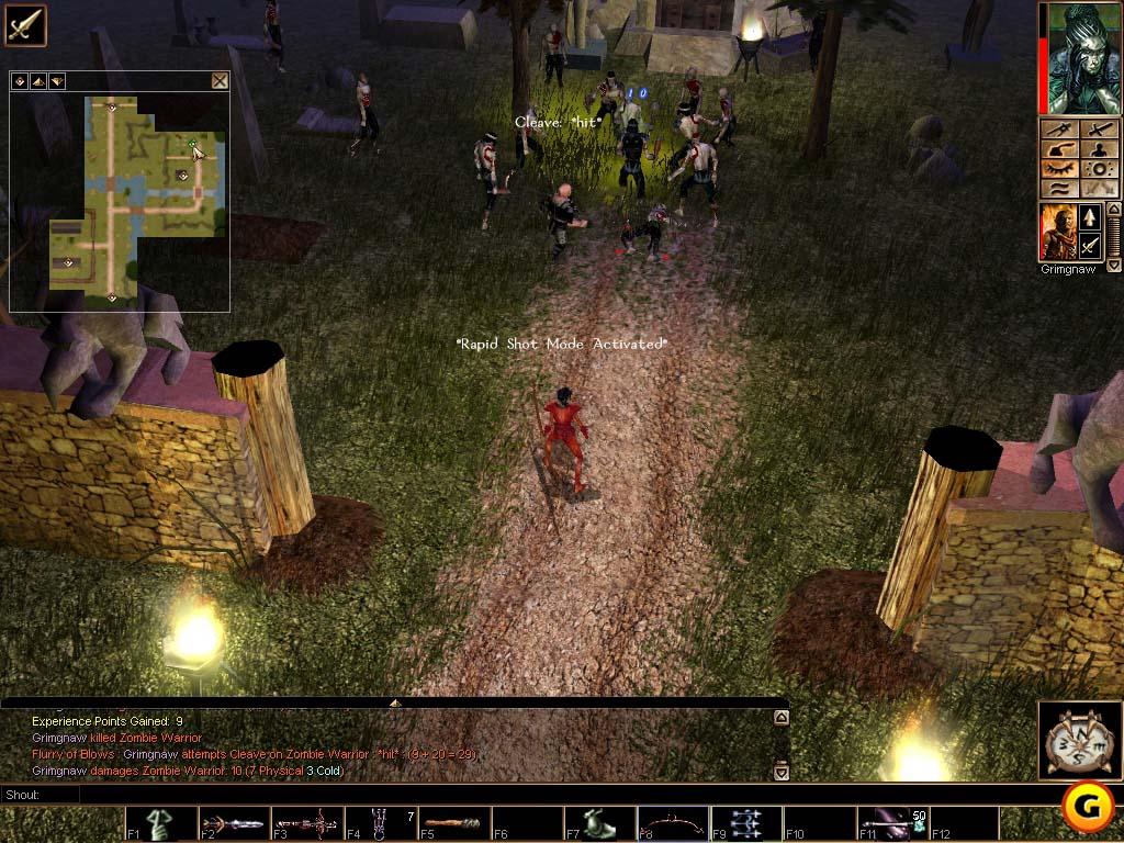 Neverwinter Nights