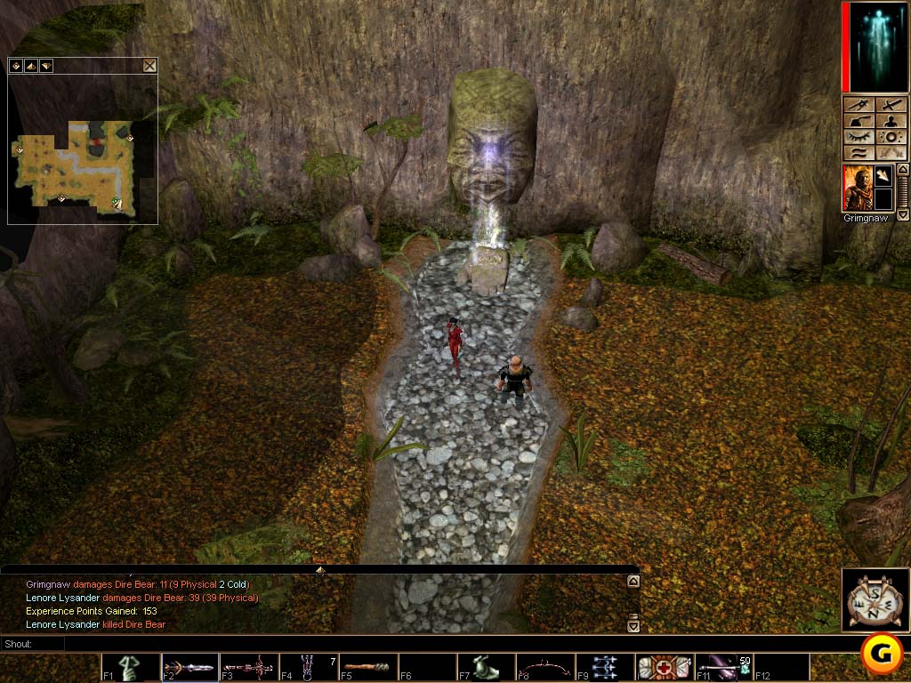 Neverwinter Nights
