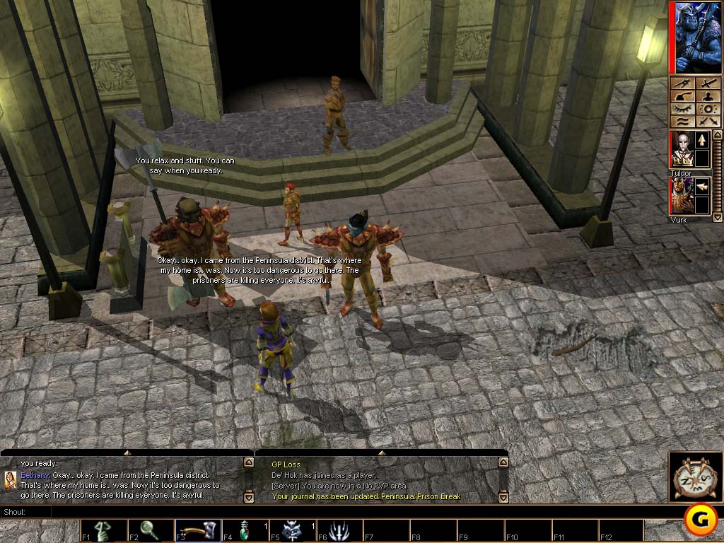 Neverwinter Nights