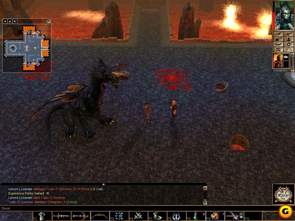 Neverwinter Nights