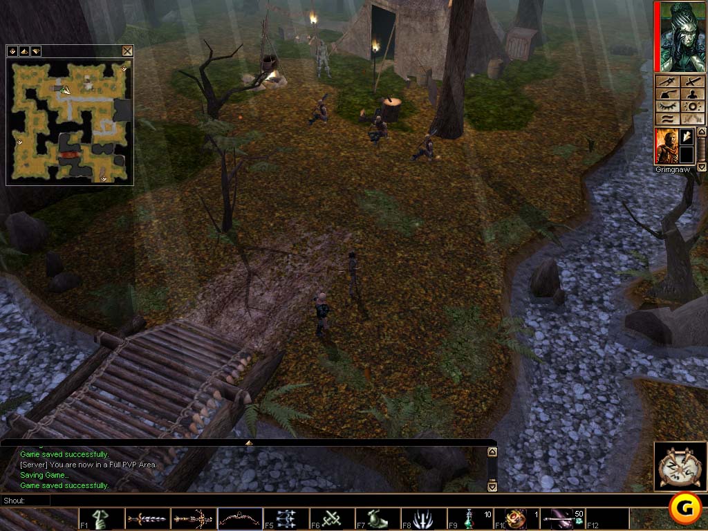 Neverwinter Nights