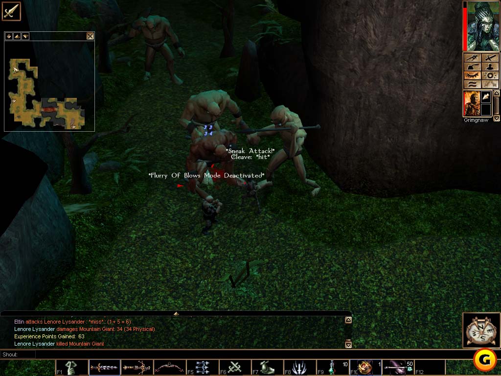 Neverwinter Nights