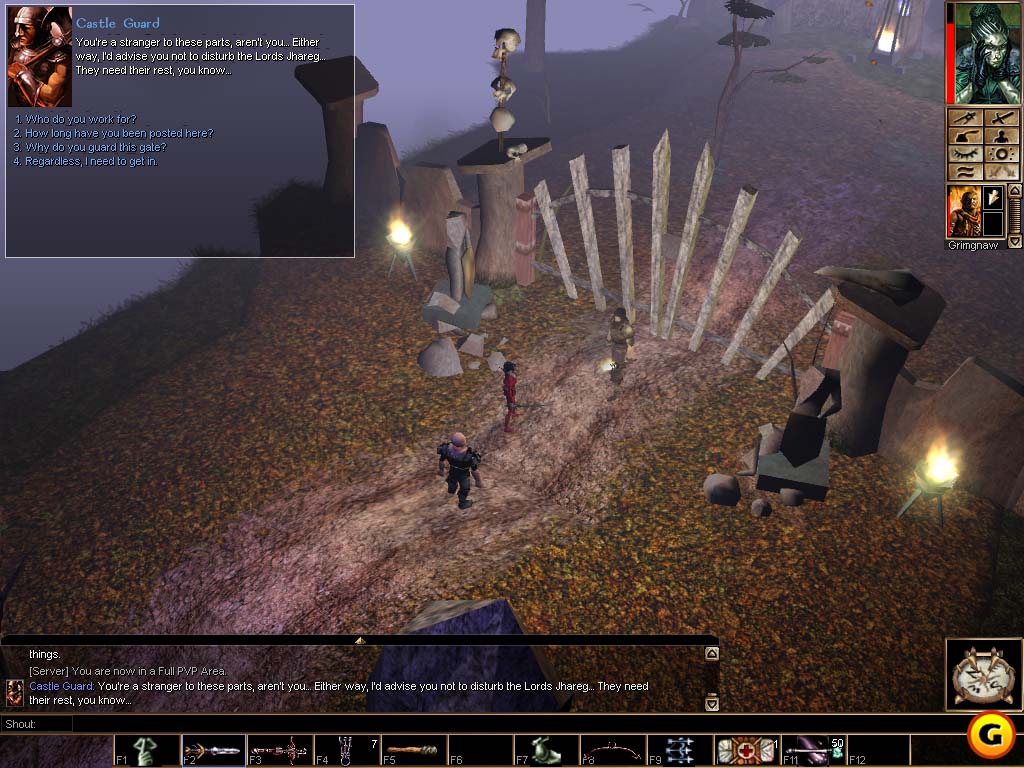Neverwinter Nights