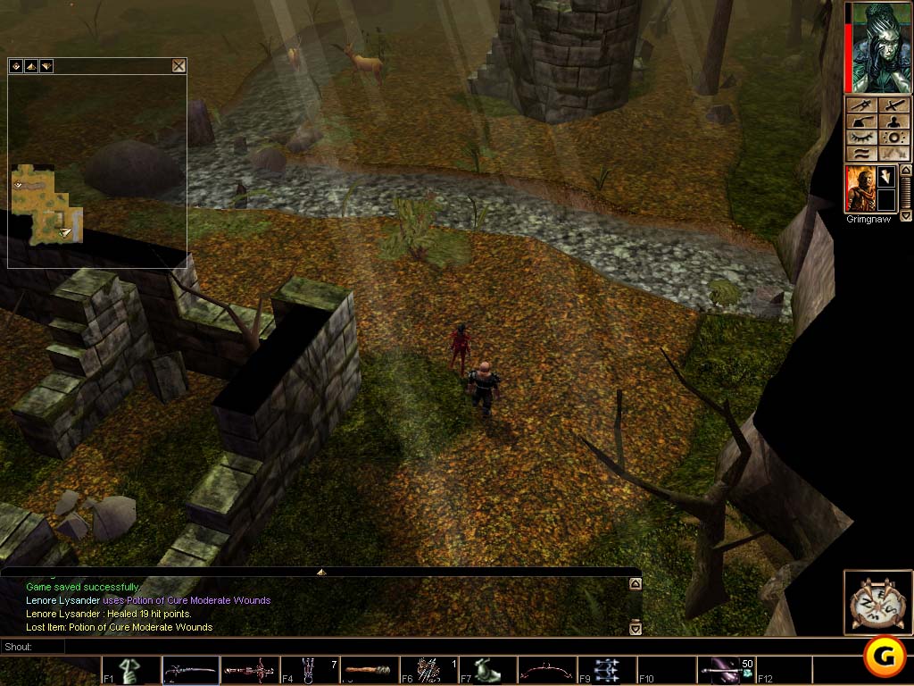 Neverwinter Nights