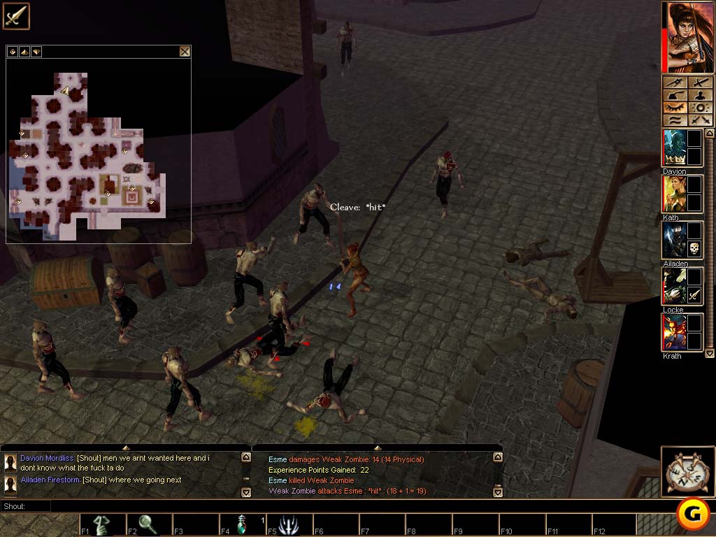 Neverwinter Nights