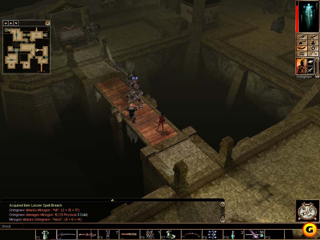 Neverwinter Nights