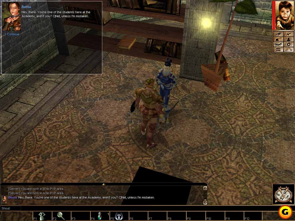 Neverwinter Nights