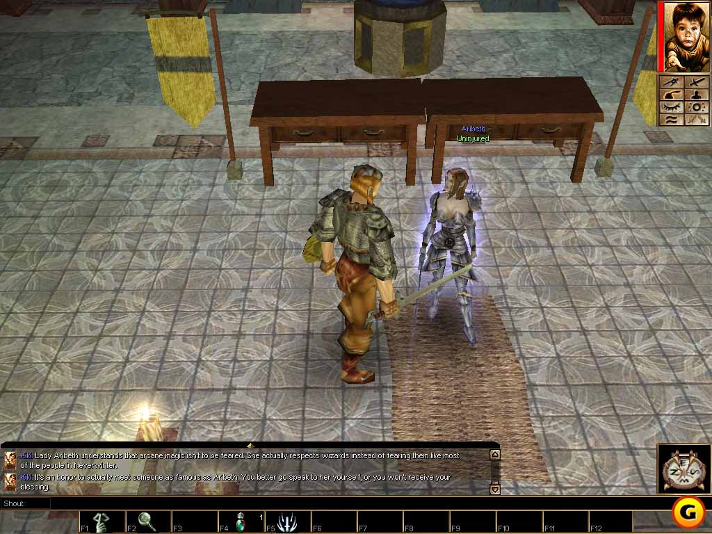 Neverwinter Nights