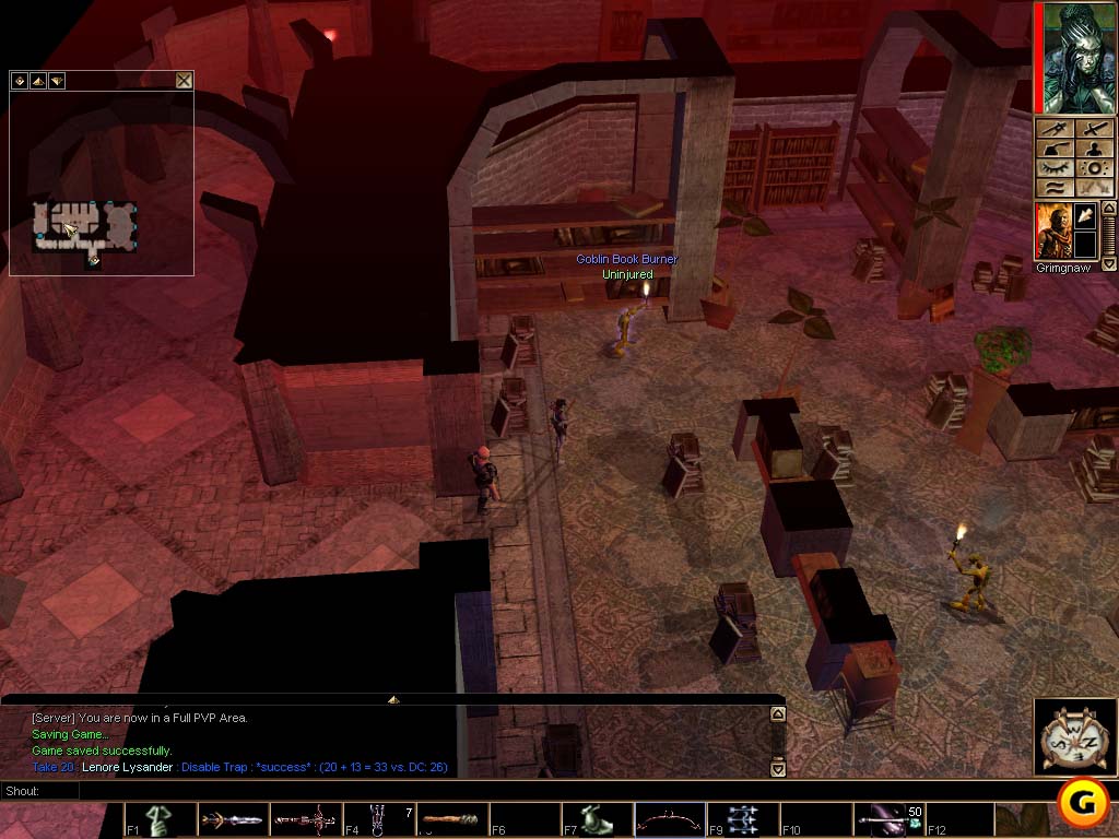 Neverwinter Nights