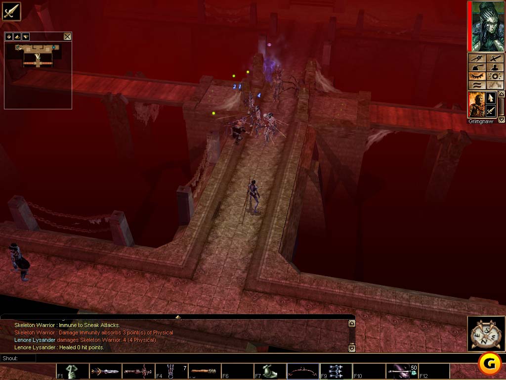 Neverwinter Nights