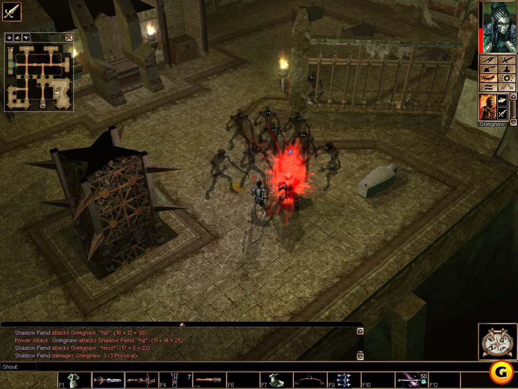 Neverwinter Nights