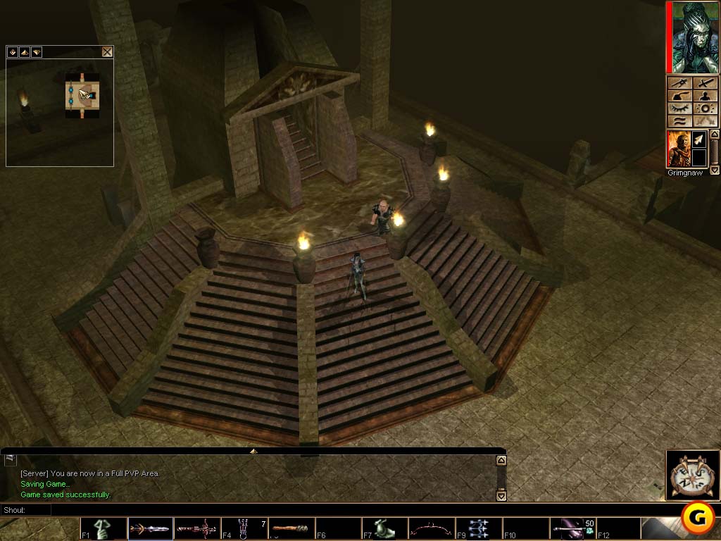 Neverwinter Nights