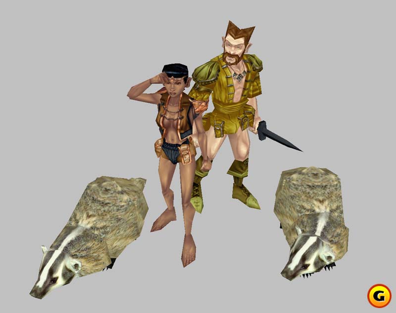 Neverwinter Nights