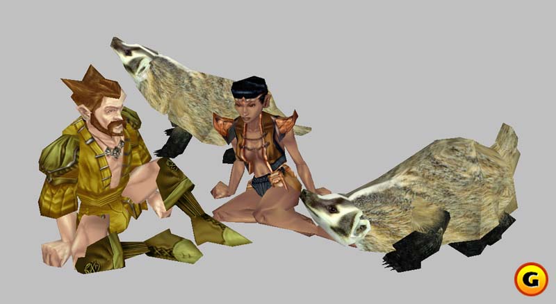 Neverwinter Nights
