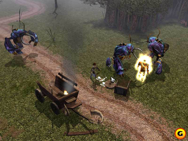 Neverwinter Nights