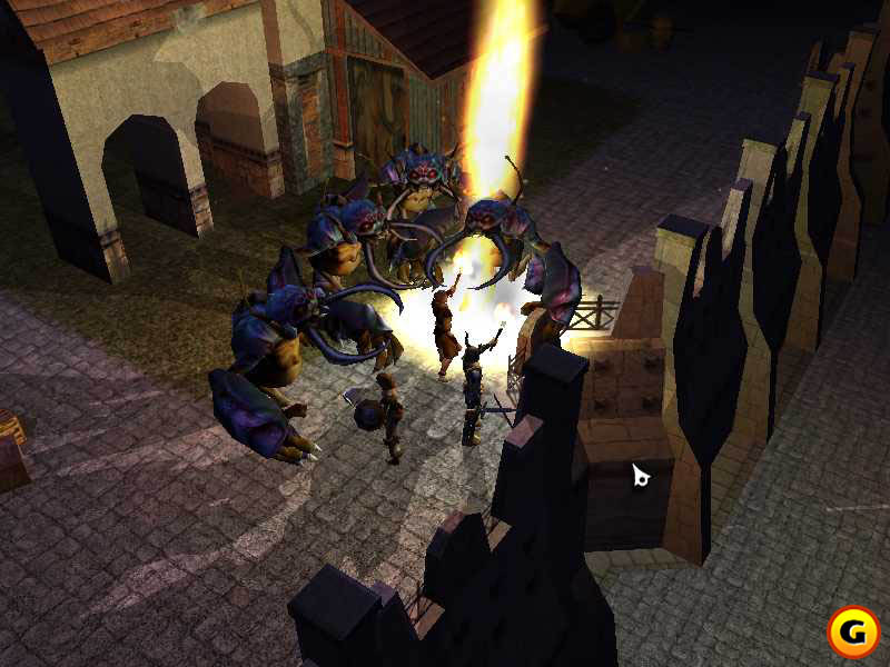 Neverwinter Nights