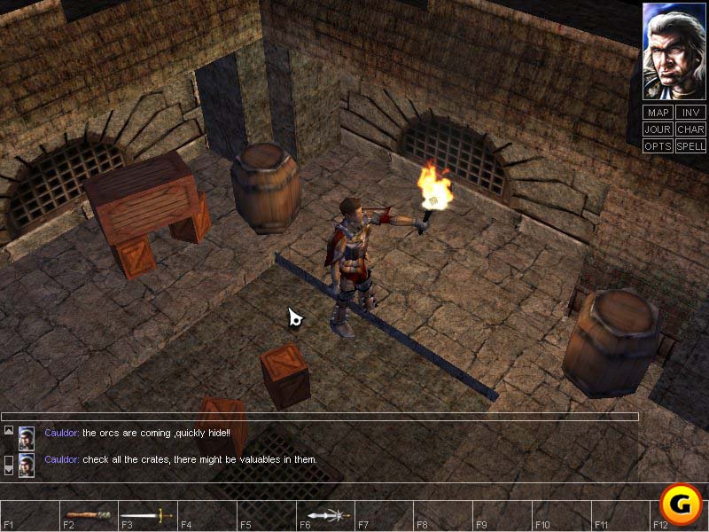 Neverwinter Nights