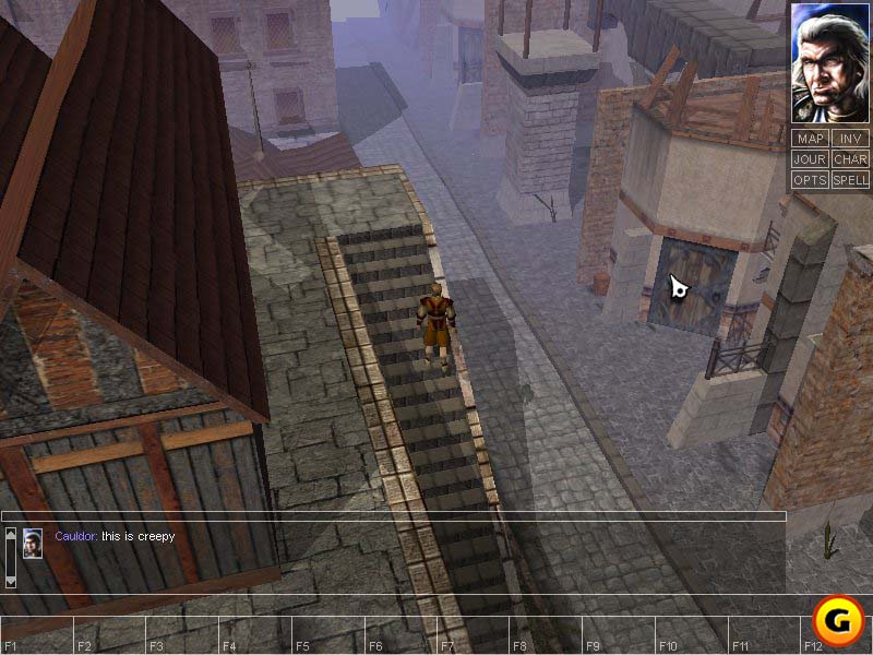 Neverwinter Nights