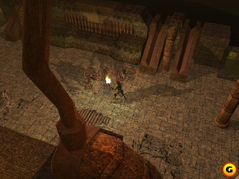 Neverwinter Nights