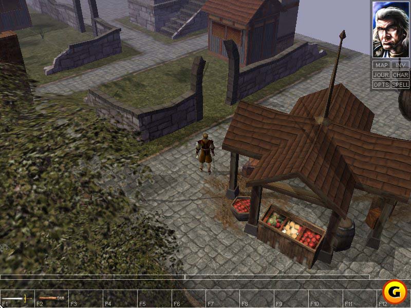 Neverwinter Nights