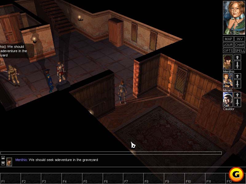 Neverwinter Nights