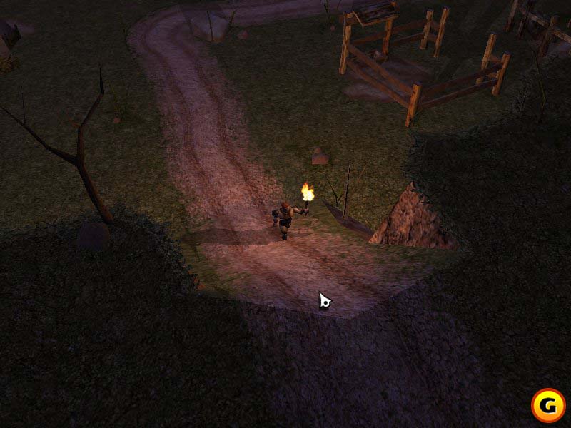Neverwinter Nights