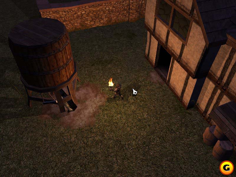 Neverwinter Nights