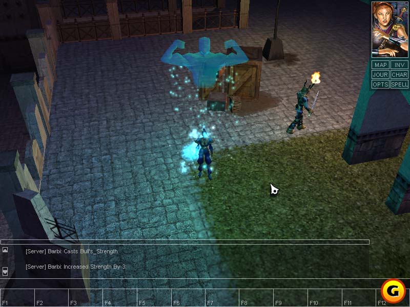 Neverwinter Nights