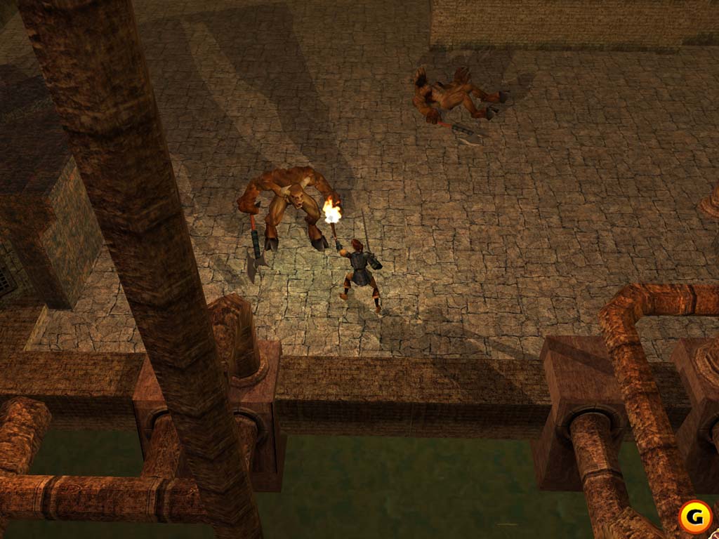 Neverwinter Nights