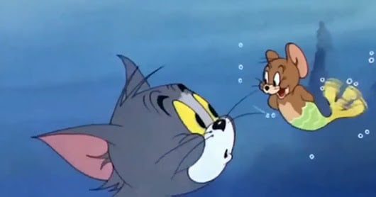mermouse cat toy