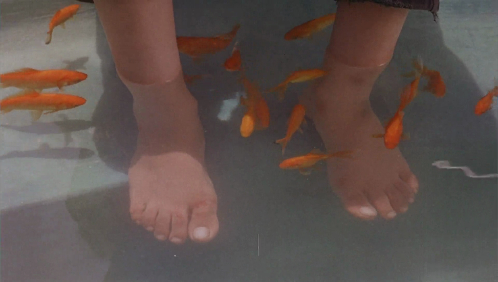 Children of Heaven 