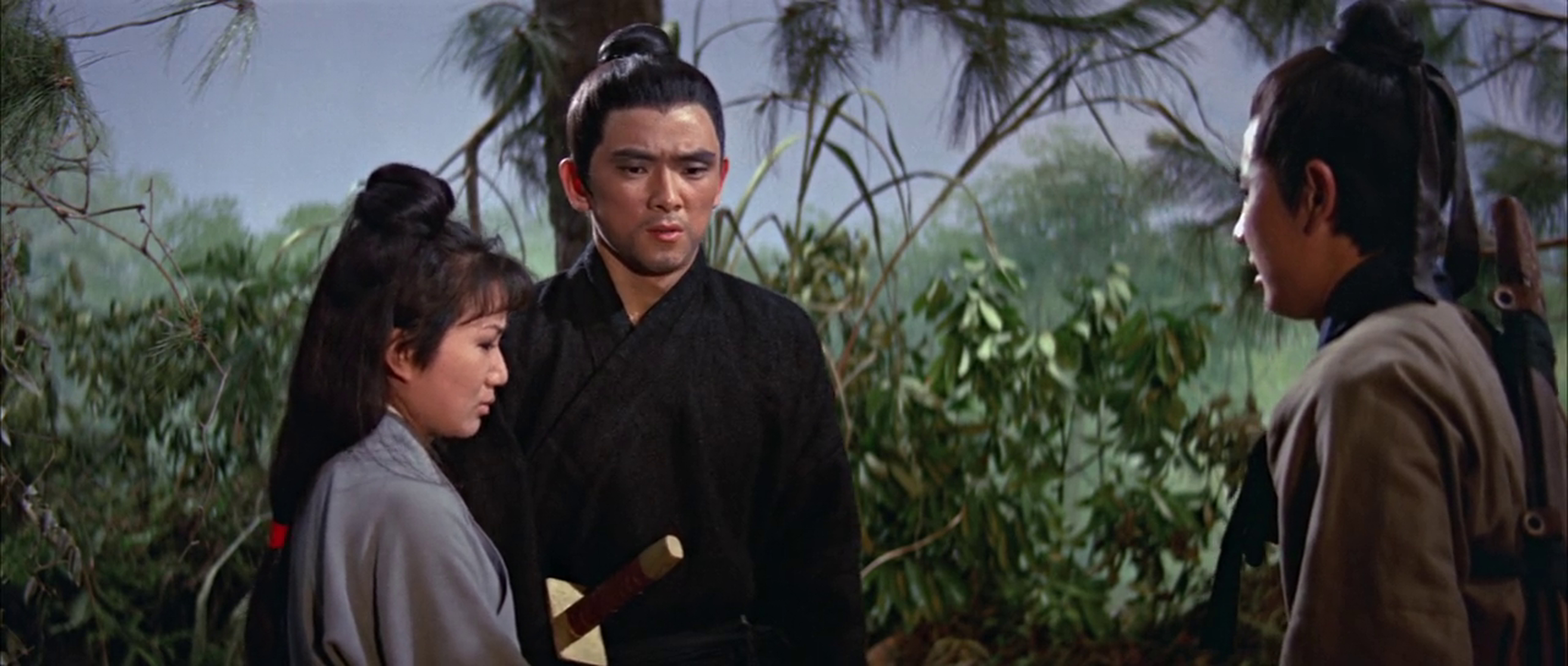 Return of the One-Armed Swordsman